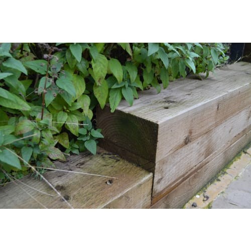 Garden sleeper incised - sleeper,