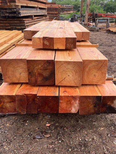 Solid european larch - larch, 6x6